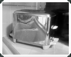 0047 Toaster Day 19